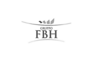 Gruppo FBH logo